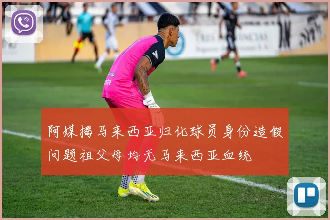 阿媒揭马来西亚归化球员身份造假问题祖父母均无马来西亚血统