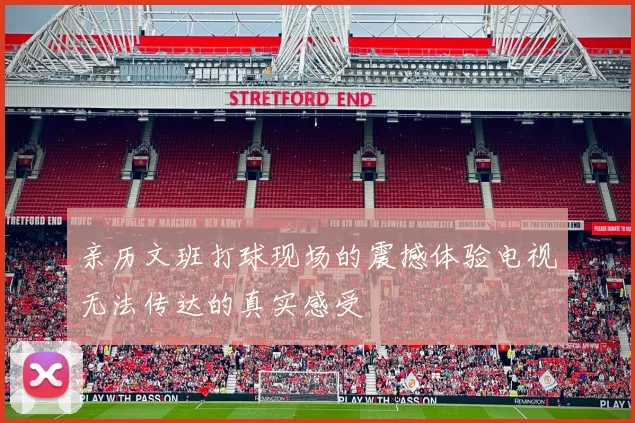 亲历文班打球现场的震撼体验电视无法传达的真实感受