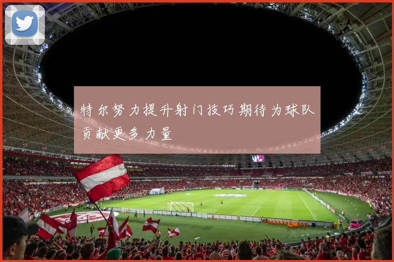 特尔努力提升射门技巧期待为球队贡献更多力量