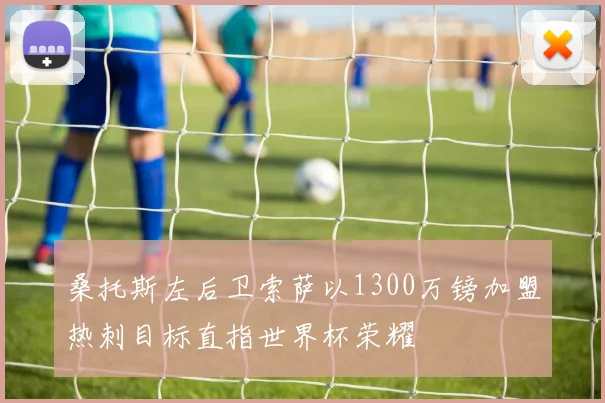 桑托斯左后卫索萨以1300万镑加盟热刺目标直指世界杯荣耀